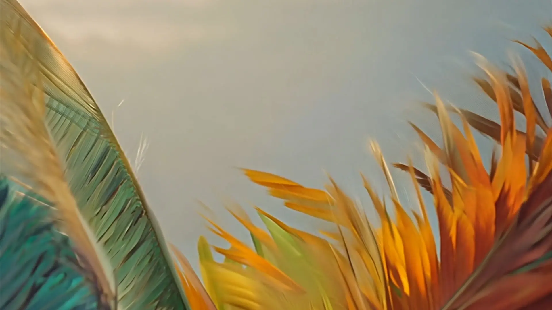 Vibrant Feather Background for Title Animation